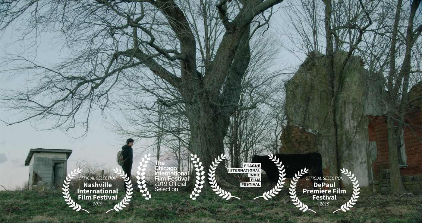 Still from Bovine